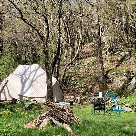 Grande Tente Tipi En Pleine Foret Burzet Ngoại thất bức ảnh