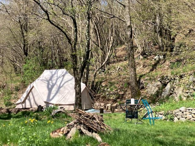 Grande Tente Tipi En Pleine Foret Burzet Ngoại thất bức ảnh